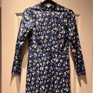 Birds of North America Nyctale Dress Size 8